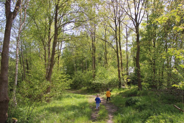 abenteuerliche Waldwege am See